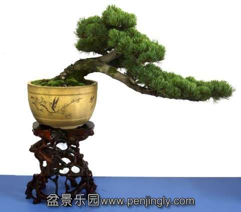 QQͼƬ20130721204544.jpg