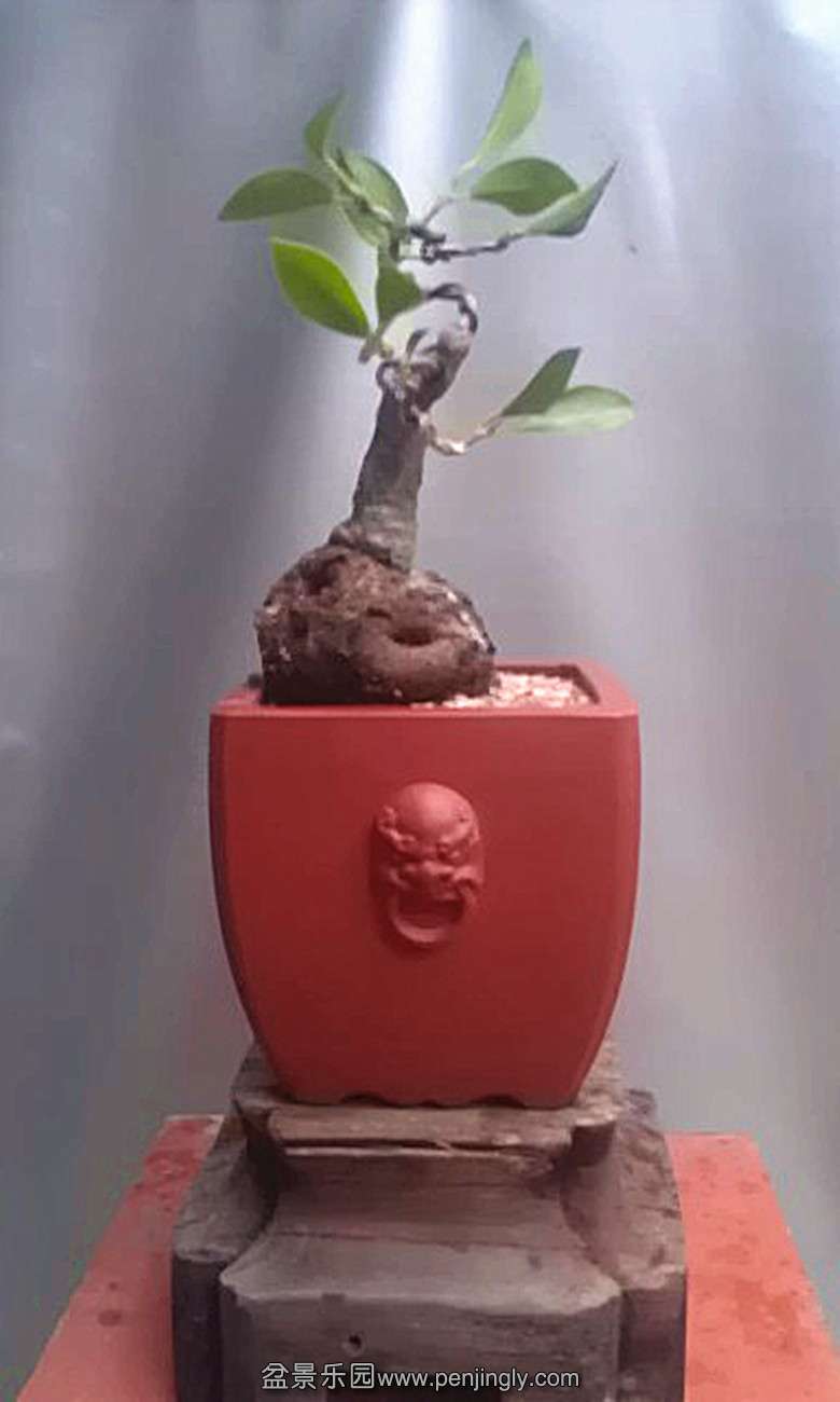 IMAG2308_.jpg