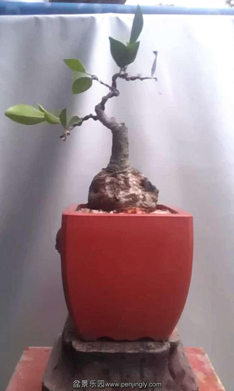 IMAG2306_.jpg