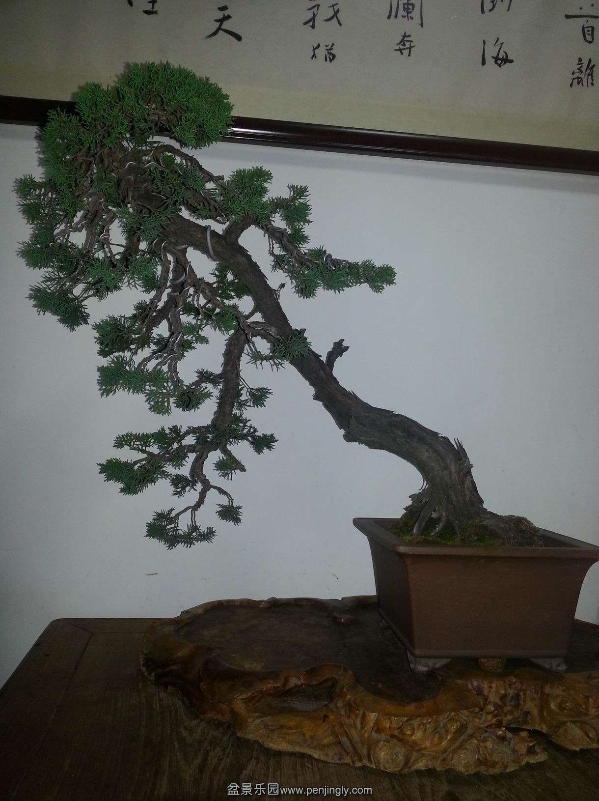 С 20130721_171230.jpg