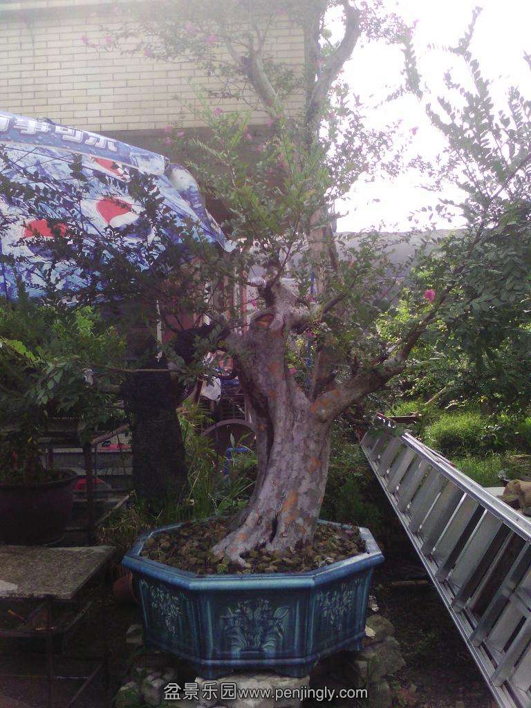 IMG_20130713_161204.jpg