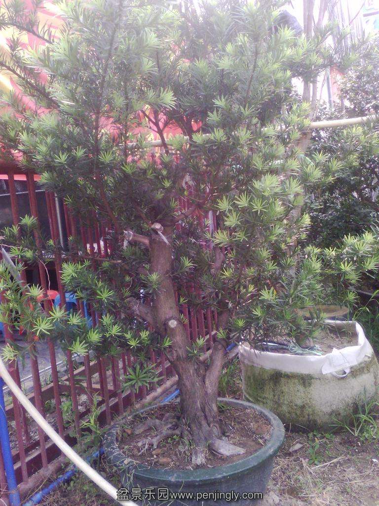 IMG_20130713_162312.jpg