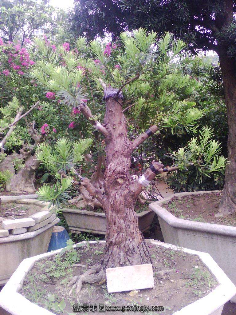 IMG_20130714_082015.jpg