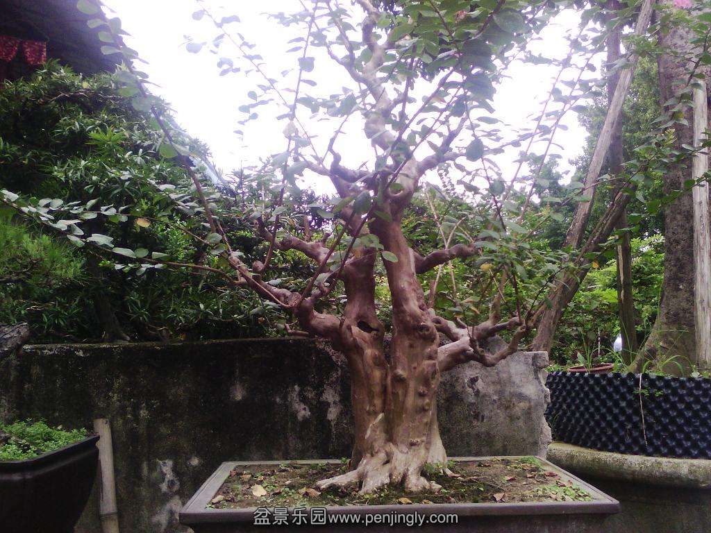 IMG_20130714_091710.jpg