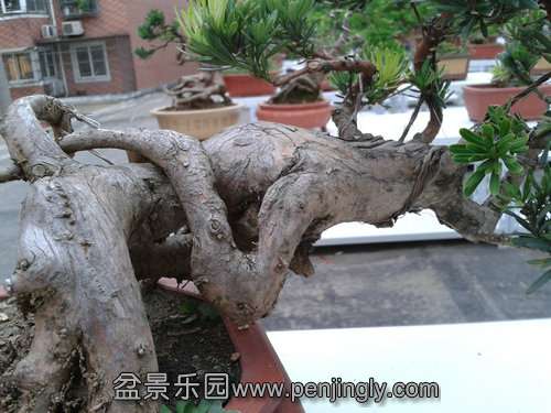 2013-07-21 18.30.07.jpg