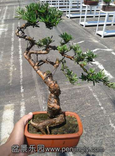 2013-07-19 13.22.34.jpg