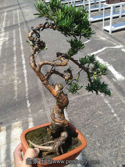 2013-07-19 13.24.32.jpg