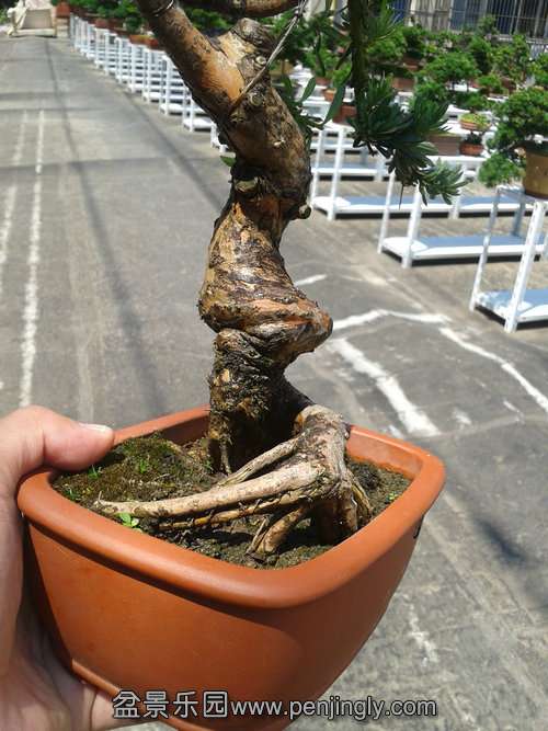 2013-07-19 13.26.15.jpg