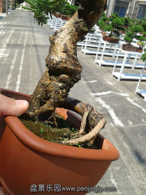 2013-07-19 13.26.45.jpg