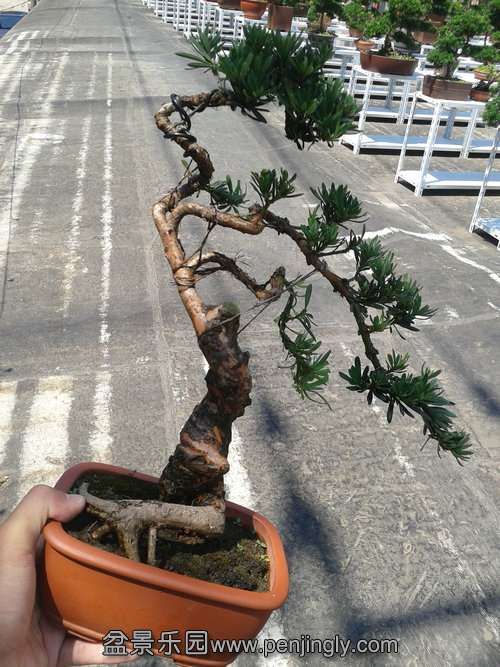 2013-07-19 13.27.44.jpg