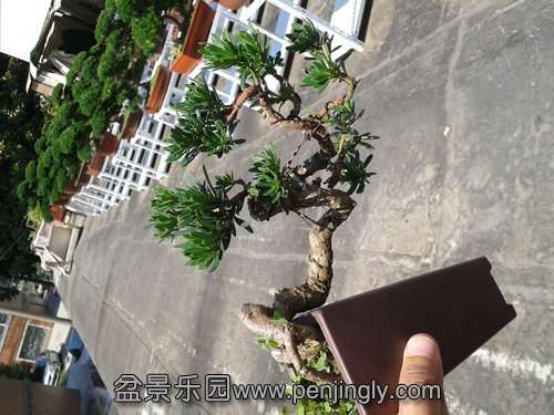 2013-07-19 14.11.47.jpg