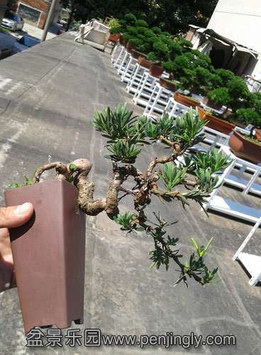 2013-07-19 14.12.21.jpg