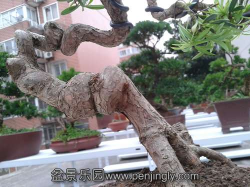 2013-07-21 18.21.22.jpg