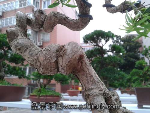 2013-07-21 18.21.34.jpg