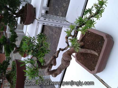 2013-07-21 18.22.00.jpg