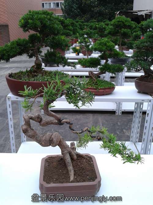 2013-07-21 18.23.09.jpg