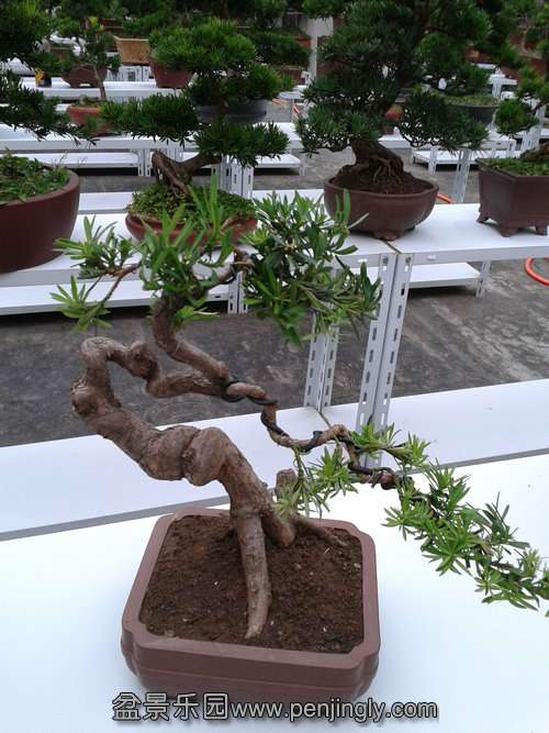 2013-07-21 18.23.50.jpg