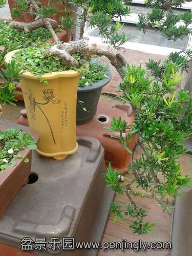 2013-07-21 15.03.39.jpg