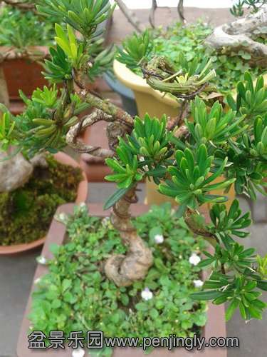 2013-07-21 15.03.53.jpg