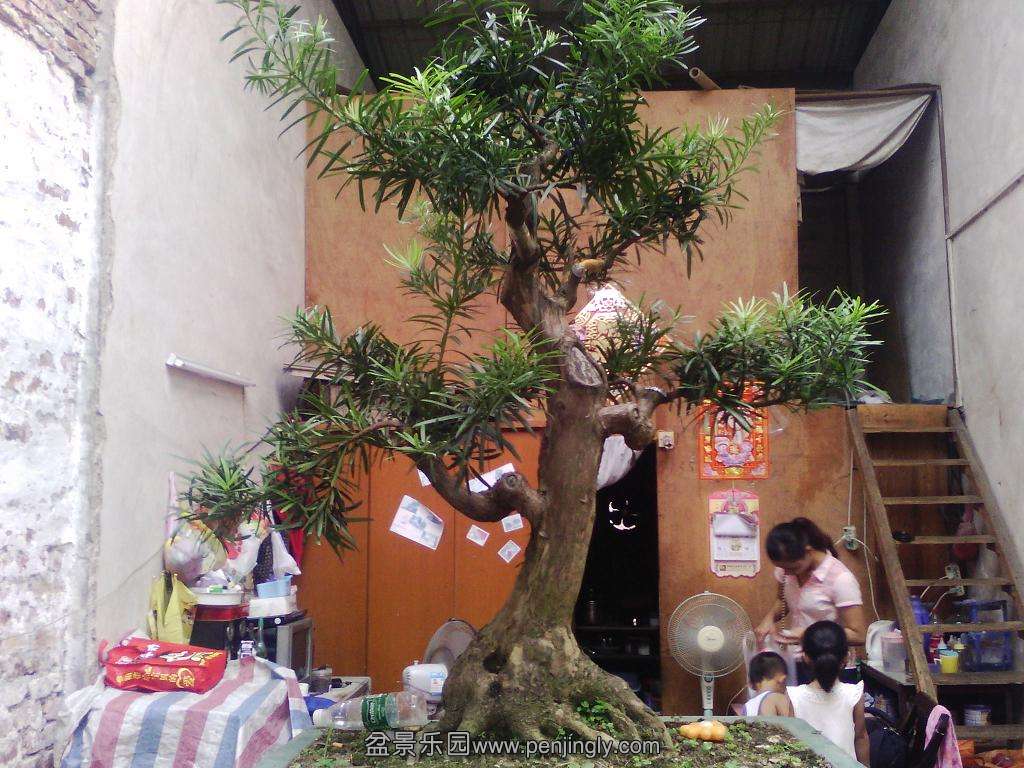 IMG_20130714_091820.jpg