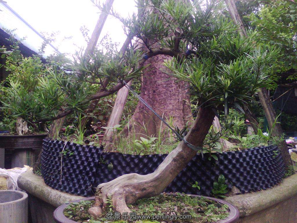 IMG_20130714_092319.jpg