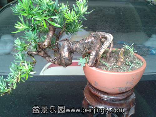 2013-07-21 12.41.34.jpg