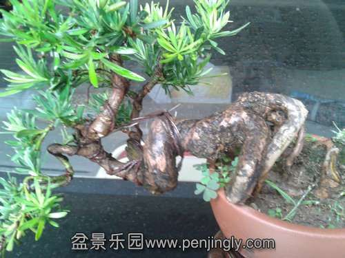 2013-07-21 12.42.01.jpg