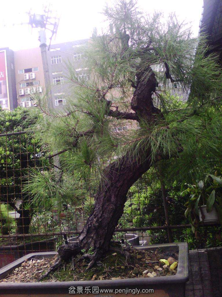 IMG_20130714_091938.jpg