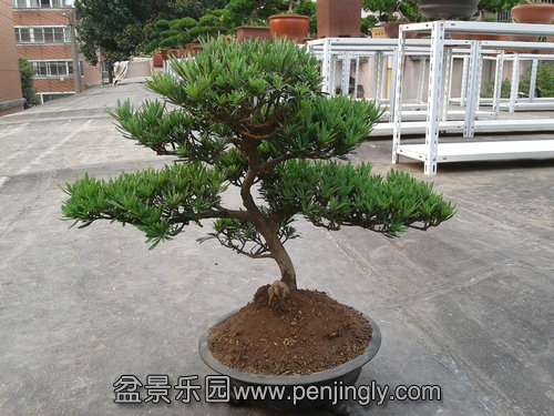 2013-07-21 17.05.53.jpg