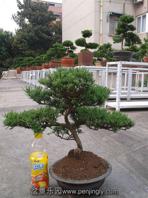 2013-07-21 17.06.59.jpg