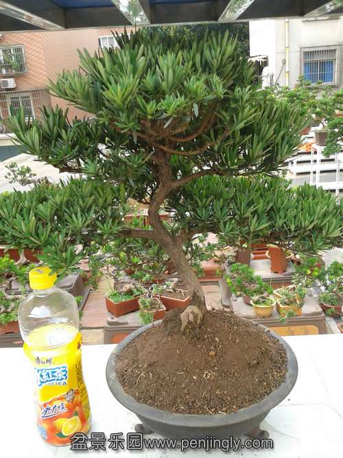 2013-07-21 16.56.02.jpg