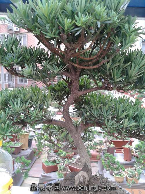 2013-07-21 16.57.10.jpg