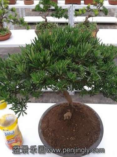 2013-07-21 16.59.16.jpg