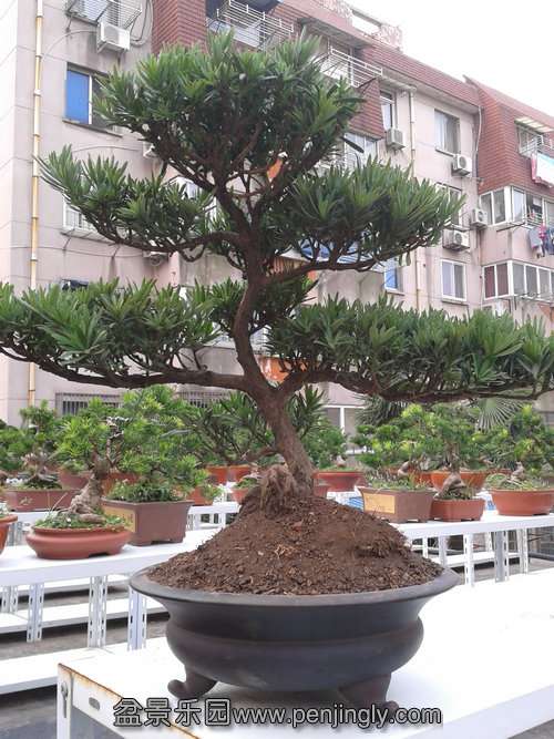 2013-07-21 17.04.52.jpg