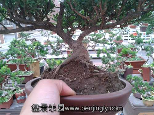 2013-07-21 17.22.28.jpg