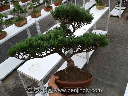 2013-07-21 17.23.48.jpg