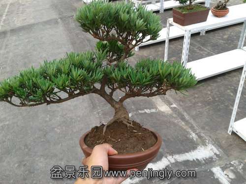 2013-07-21 17.15.28.jpg