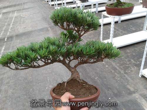 2013-07-21 17.15.53.jpg