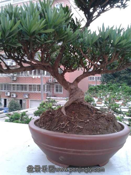 2013-07-21 17.19.26.jpg