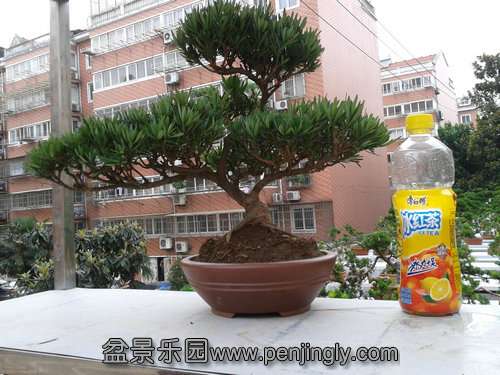 2013-07-21 17.20.28.jpg