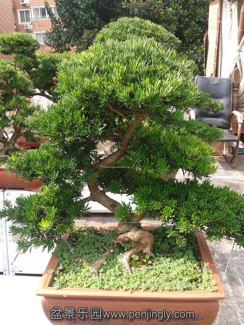 2013-07-21 15.12.07.jpg