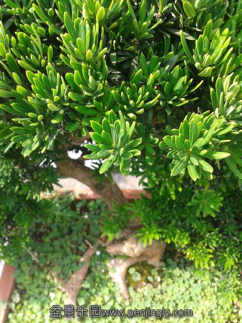 2013-07-21 15.11.27.jpg