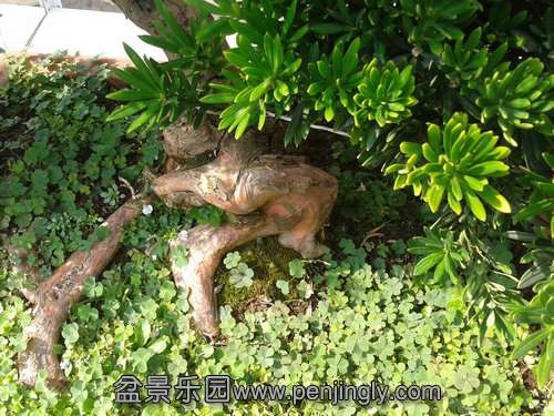 2013-07-21 15.11.39.jpg