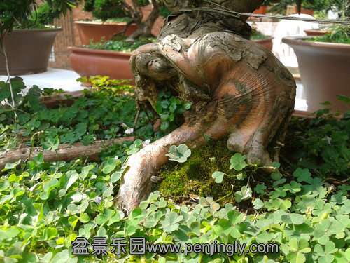 2013-07-21 15.11.53.jpg