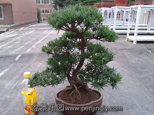 2013-07-21 17.52.13.jpg