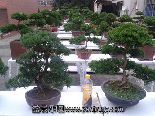 2013-07-21 17.55.32.jpg