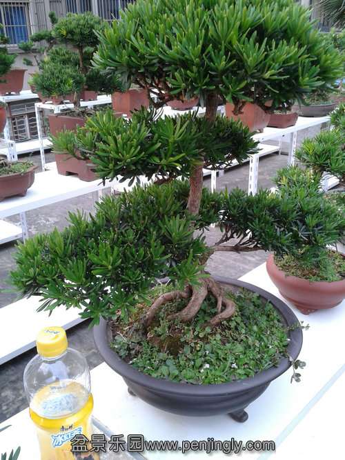 2013-07-21 18.00.12.jpg