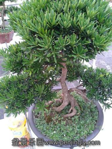 2013-07-21 18.00.37.jpg