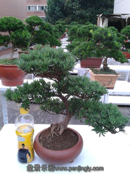 2013-07-21 18.03.50.jpg