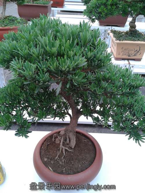 2013-07-21 18.05.09.jpg